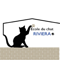 Ecole du Chat Riviera et Flows Communication
