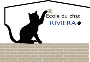 stratégie de communication pour association Flows Communication